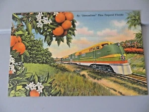 STREAMLINER THRU TROPICAL FLORIDA UNCIRCULATED RAILROAD POSTCARD - Picture 1 of 7