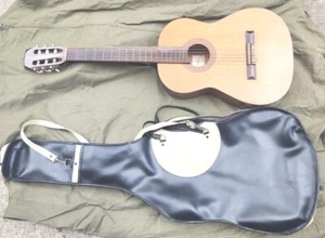 Continental DC-310 Akustikgitarre mit schwarz-weißer Tasche Made in Korea - Bild 1 von 22
