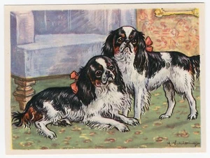 KING CHARLES SPANIEL 1952 Dog Print Austria Tobacco Company Kamerad Hund Card - Picture 1 of 1