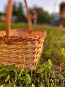 Wicker basket of willow Home decoration Basket for fruits Handmade - Picture 1 of 8