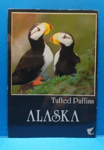 Alaska AK The Tufted Puffins PC Postcard - Picture 1 of 2