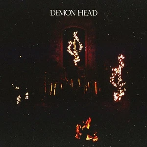 Demon Head Through Holes Shines the Stars (CD) Album - Bild 1 von 1