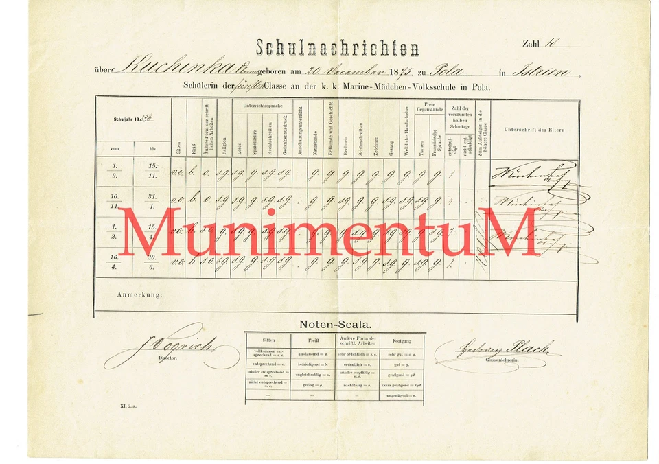 Certificato Notiziario Scuola k.k. kuk scuola cittadina ragazza marina POLA istria 1886 - Immagine 1 di 1