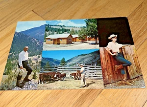 1960's DIAMOND D RANCH, CLAYTON IDAHO Large Postcard - Unused - Picture 1 of 6
