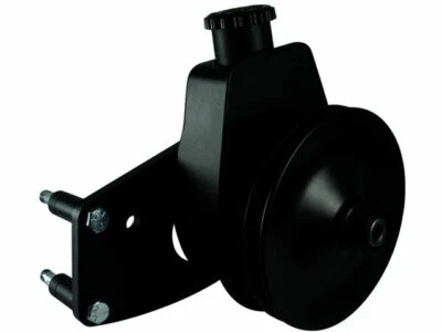 Kit de bomba de dirección asistida Borgeson 57439DW 1978 5,0 L V8 para Ford LTD II 1977-1979 Foto 1 de 2