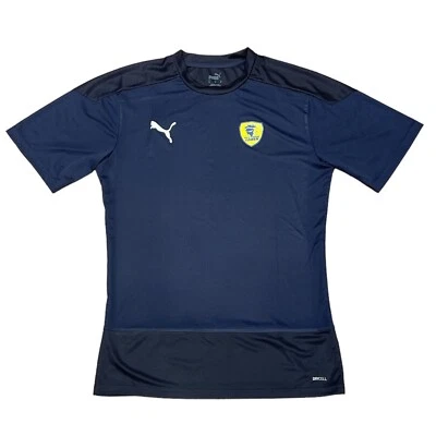 Puma Rhein Neckar Löwen TeamGOAL 23 Training Jersey Trikot T-Shirt blau 65648206