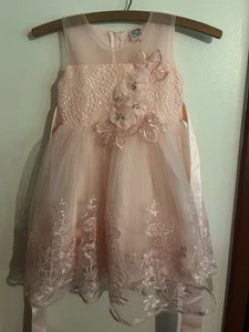 Beautiful Little Girls Formal Dress Pink Size 5? - Picture 1 of 4
