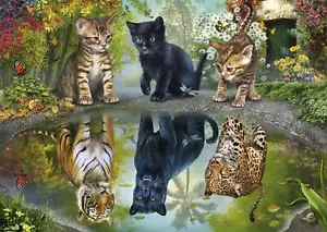 Schmidt Dream Big! Puzzle (1000 pezzi) - Foto 1 di 1