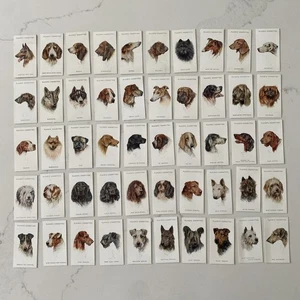 John Player Cigarette Cards 1931 Dogs Full Set of 50 - Picture 1 of 10