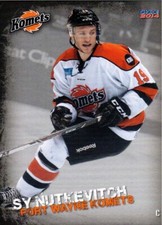 Sy Nutkevitch 2013-14 Fort Wayne Komets