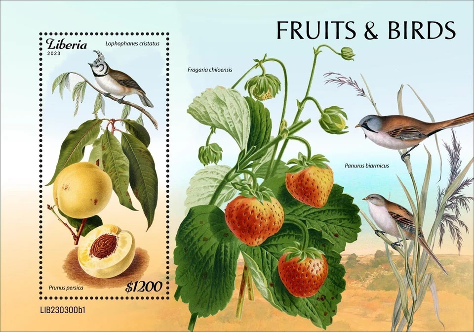 Estampillas de frutas y aves MNH 2023 Liberia S/S Foto 1 de 1
