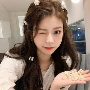 Female Hair Accessories Small Hairpin Pearl Hair Claw Korean Style Hair Clip - Picture 1 of 20