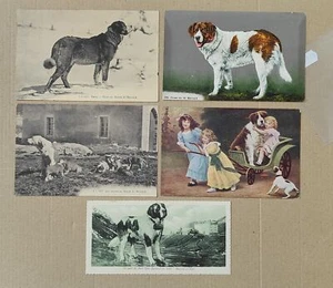 DOG DOGS CANE-ST.BERNARD SAN BERNARDO-LOT 5 POSTCARDS-C65-170 - Picture 1 of 1