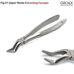 Pinza estrazione denti Fig 51 strumento estrazione radici superiori chirurgia orale dentale - Foto 1 di 3