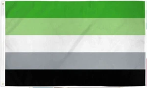 3X5 Aromantic Poly LGBTQ Aro Romantic Romanticism Pride Month Queer Pride Flag 1 - Picture 1 of 3