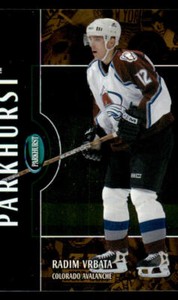 2002-03 Parkhurst Gold #162 Radim Vrbata /10