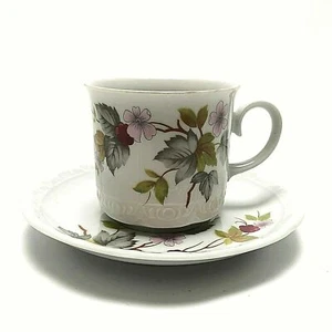Mitterteich Porcelain Cup Saucer Set Berries & Leaves 5 oz Bavaria - Picture 1 of 8