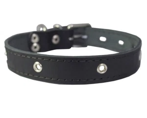 Genuine Leather Studded Dog Collar, Black, 1" Wide. Fits 13"-17.5" Neck Size - Picture 1 of 4