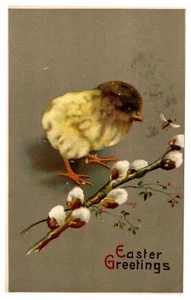 Antique Postcard Easter Chick Nature Animal 1911 Germany - Picture 1 of 5