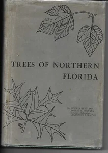 Trees of Northern Florida - Picture 1 of 1