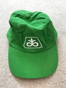 Sombrero ajustable verde semilla Pioneer usado en excelente estado - Imagen 1 de 4
