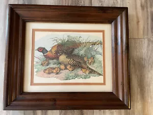 Vintage Framed Pheasant Art Print by The Uttermost Co Numbered 668 - Picture 1 of 11