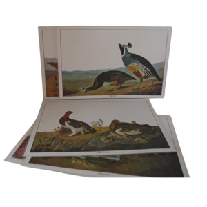 Grouse Quail Placemats Bird of America John J. Audubon watercolors Set of Five - Picture 1 of 7