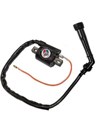 Bobina de encendido + tapa para Suzuki DRZ400 DRZ400E DRZ400S DRZ400SM (2000-2023) Foto 1 de 4