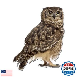 Dark Spark Decals Photo Realistic Cute Owl - 8 Inch Full Color Vinyl Decal fo - Afbeelding 1 van 3