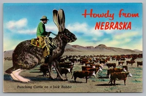 Postcard Howdy from Nebraska Punching Cattle on a Jack Rabbit Exaggeration Humor - Picture 1 of 2