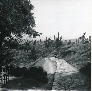 ISTANBUL c. 1960 - Cimetière d'Eyup Turquie - NV 7979 - Picture 1 of 2