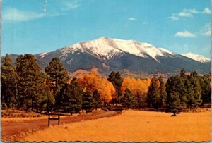 San Francisco Peaks Flagstaff, Arizona AZ 4x6 Postkarte - Bild 1 von 2