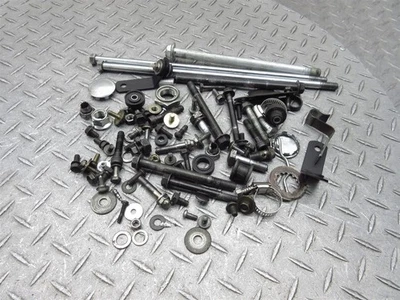 1996 86-88 95-02 Suzuki LS650 Savage Hardware Lot Nuts Bolts Screws Misc Etc OEM - Image 1 of 4