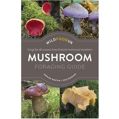 Wild Food Mushroom Foraging - Image 1 of 4