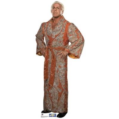 Cartel Standee de pie RIC FLAIR WWE de lucha libre RECORTE DE CARTÓN ENVÍO GRATUITO Foto 1 de 4