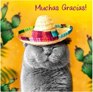 Skurrile Dankeskarte für alle Katzen "Muchas Gracias" mit Sombrero - Bild 1 von 1