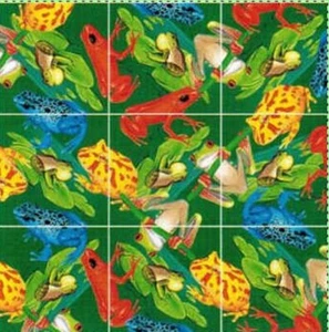 Frog Scramble Squares Puzzle - Picture 1 of 1