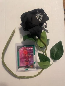 Priscilla Lee Kelly "Gigi Dolin" Autogramm Black Rose WWE Diva JSA #CE08094 SP - Bild 1 von 4