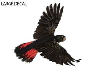 37CM MAGNET - CUSTOM ORDER - Picture 1 of 3