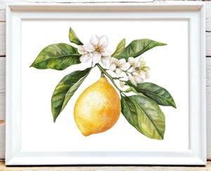 Lemons Wall Art Print, Lemons Kitchen Art Print, Home Decor Art #48 - Picture 1 of 2