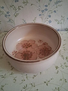 Denby Gypsy Salad /Fruit Serving Bowl Excellent Unused Condition - Picture 1 of 6