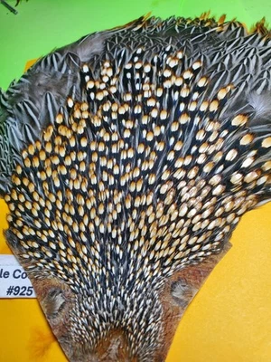 Capa Jungle Cock SUPER AAA 924 EE. UU. Solo  Foto 1 de 4