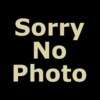 Sportster Holeshot 2:1 Exhaust Header System Black fits Harley Davidson - Image 1 of 1