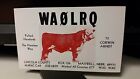 amateur ham radio QSL postcard WA0LRQ cow Corwin Arndt 1975 Maxwell Nebraska