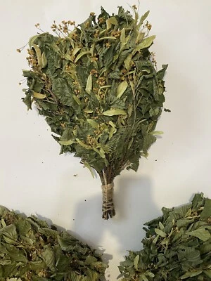 SET OF 10 Linden Sauna Whisk Russian Banya Venik Веник для бани Липа Spa Broom - Image 1 of 4