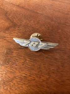 Boeing 787 Wings Ansteckmütze Pin Flugzeug Souvenir Bronze - Bild 1 von 3
