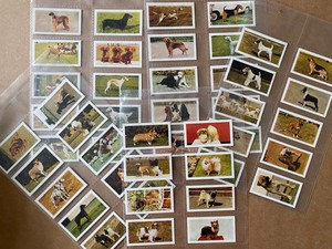 HORNIMANS TEA DOGS COLLECTORS CARDS ISSUED 1961 48 Cards