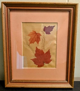 Matted And Framed Pressed Maple Leaf Art - Picture 1 of 2
