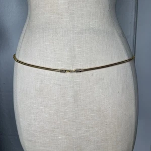 Cinturón Cintura Cadena Serpiente Metal Tono Dorado Sin Marca Talla S/M, Elegante, Elegante, Retro. - Imagen 1 de 4