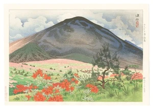 Impresión en madera Shinsui Ito Tsutsujigahara principios de verano 360 x 250 mm Shinano Nagano - Imagen 1 de 1